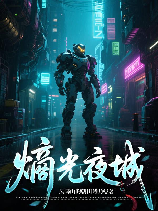 熵光夜城封面