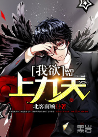 我欲上九天封面