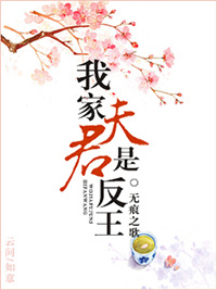 我家夫君是反王封面