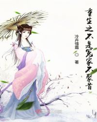 重生之不是冤家不聚首封面