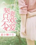 契妻只欢不爱封面