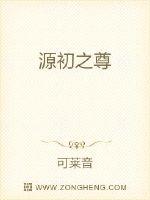 源初之尊封面