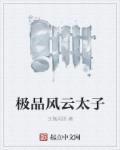 极品风云太子封面