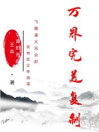 万界完美复制封面