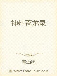 神州苍龙录封面