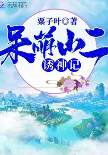 呆萌小二诱神记封面