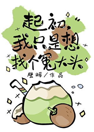 起初,我只是想找个冤大头封面