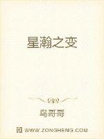 星瀚之变封面