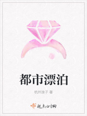 都市漂泊封面