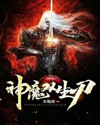 神魔双生刃封面
