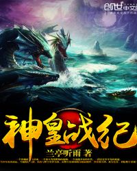 神皇战纪封面