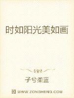 时如阳光美如画封面