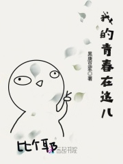 我的青春在这儿封面