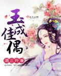 玉成佳偶封面