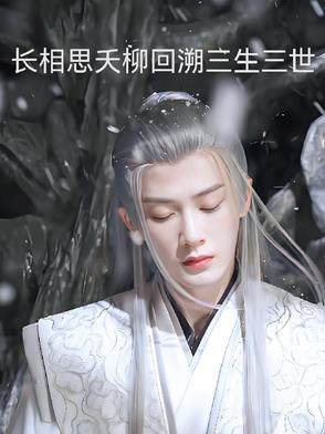 长相思夭柳回溯三生三世封面
