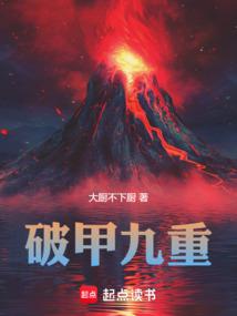 破甲九重封面