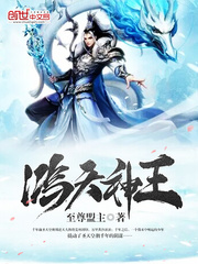 鸿天神王封面