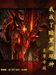我成了暗黑破坏神封面