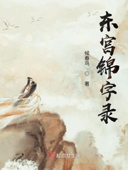 东宫锦字录封面