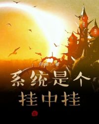 系统是个挂中挂封面