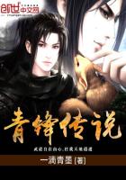 青锋传说封面