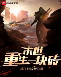 末世重生一块砖封面