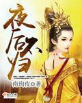 夜后不归封面