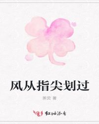 风从指尖划过封面