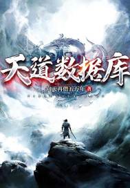 天道数据库封面