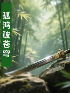 孤鸿破苍穹封面
