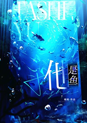 他是鱼封面