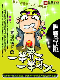 一半君子一半小人封面