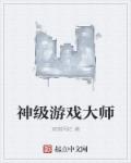 神级游戏大师封面