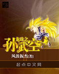 龙珠之孙武空封面