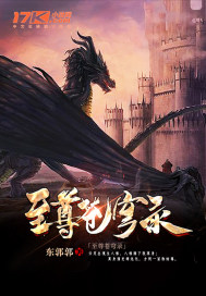 至尊苍穹录封面