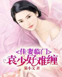 佳妻临门，袁少好难缠封面