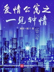 爱情公寓之一见钟情封面
