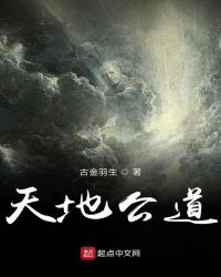 天地公道封面