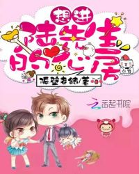 想进陆先生的心房封面