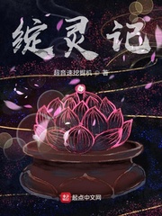 绽灵记封面
