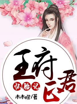 王府正君陈情记封面