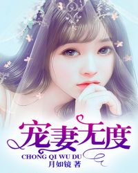 宠妻无度封面