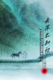 云深不知初封面