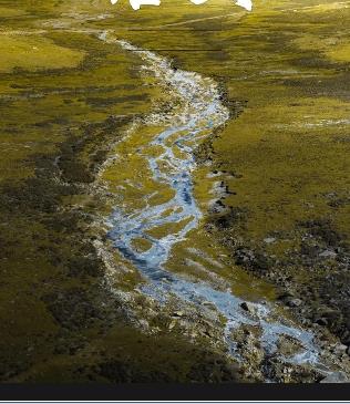 鸿蒙玄天鼎封面