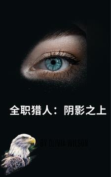 全职猎人：阴影之上封面