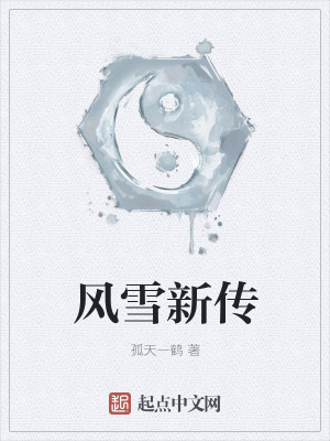 风雪新传封面