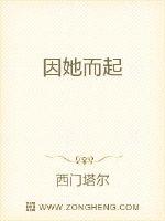 因她而起封面