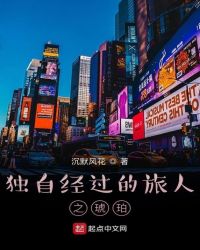 独自经过的旅人之琥珀封面