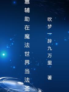 魔法觉醒，我第一系是辅助系封面