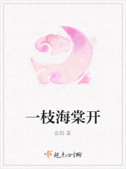 一枝海棠开封面